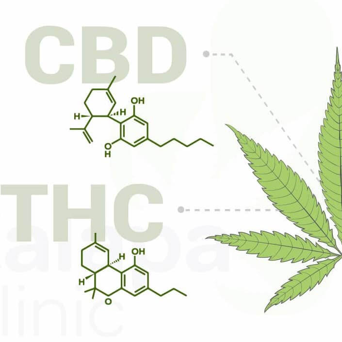 LE CBD EN 2020, ON FAIT LE POINT !