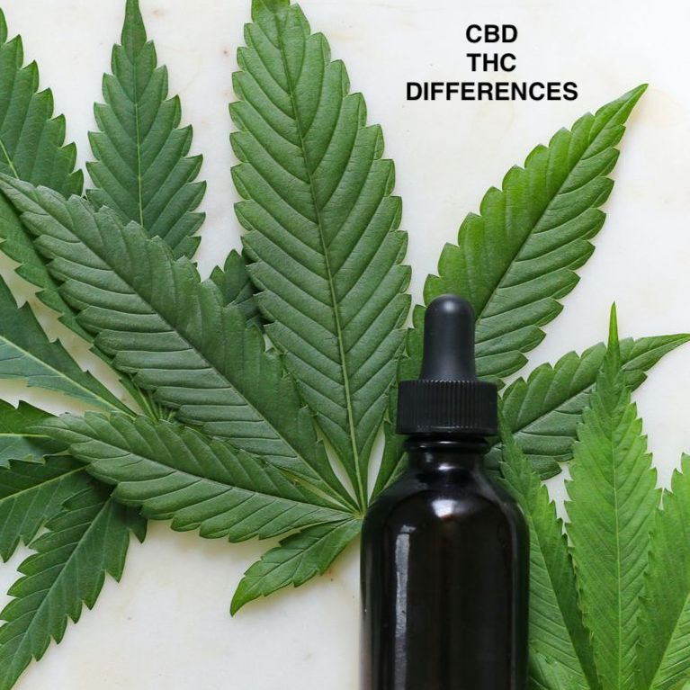 CBD et THC : Quelles sont les différences ?