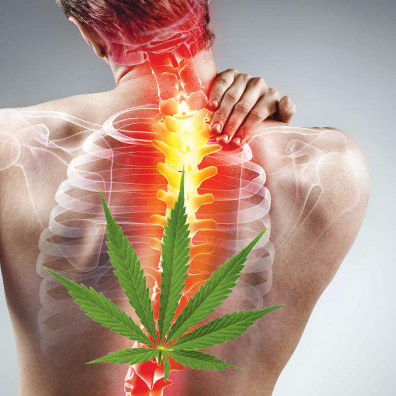 LE CBD CONTRE LES DOULEURS DORSALES