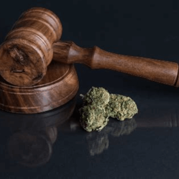 CBD : le cadre légal en France